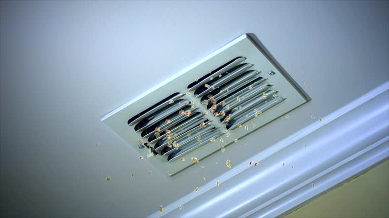 Best Commercial Air Duct Cleaning  in South Henderson, NC